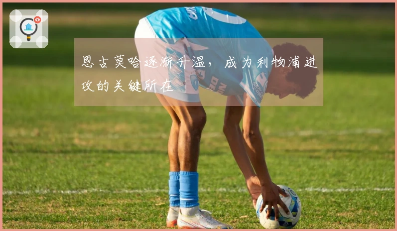 恩古莫哈逐渐升温，成为利物浦进攻的关键所在