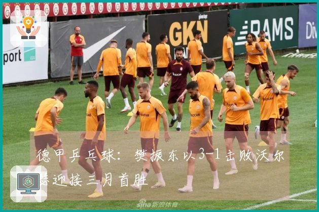 德甲乒乓球：樊振东以3-1击败沃尔瑟迎接三月首胜